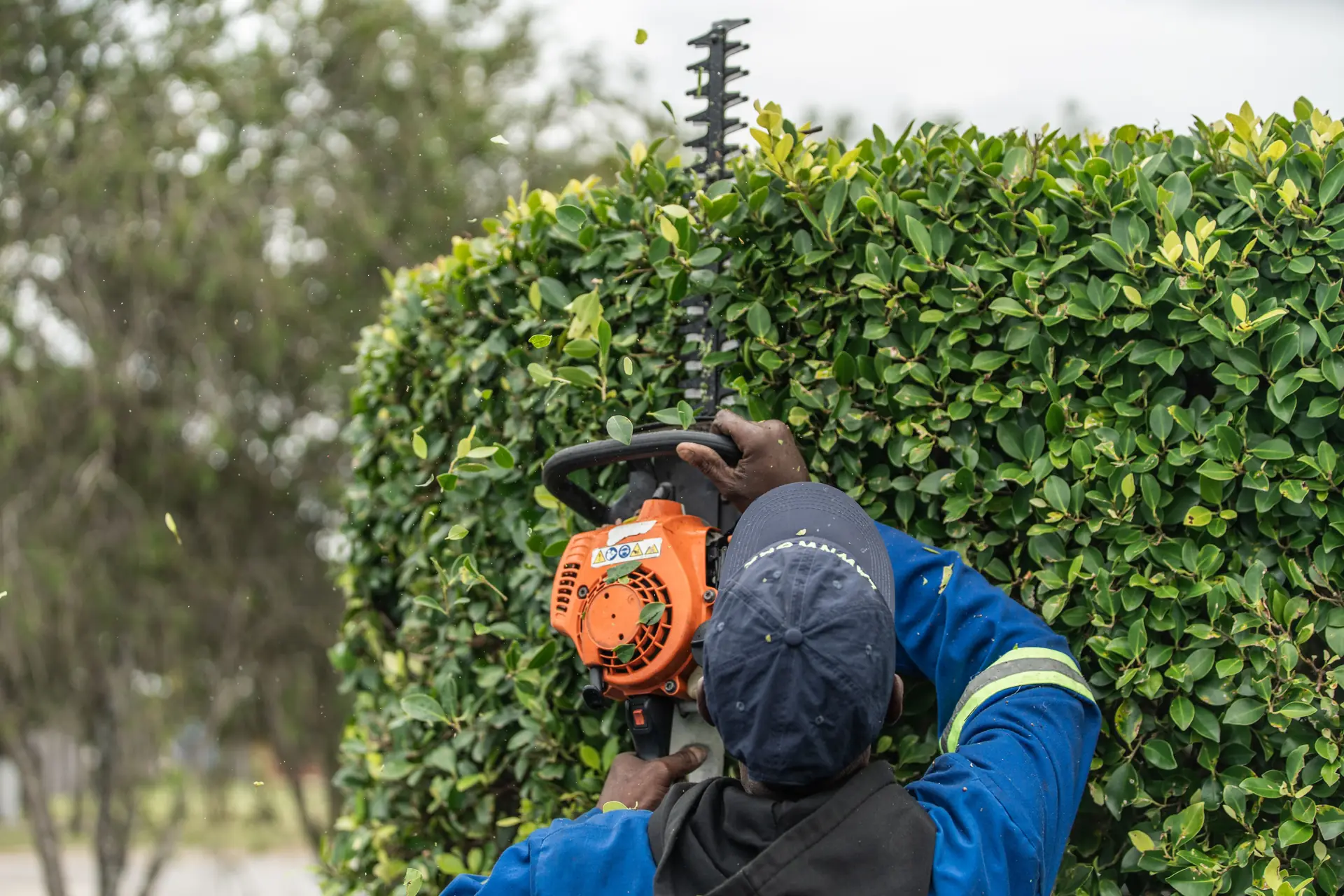 Lawnworx team maintaining hedges and property grounds